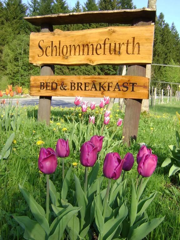 Bed & Breakfast Schlommefurth Bed and Breakfast St. Vith Exteriör bild